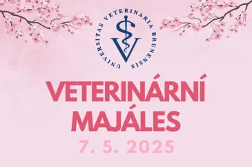 Veterinární Majáles 7. 5. 2025