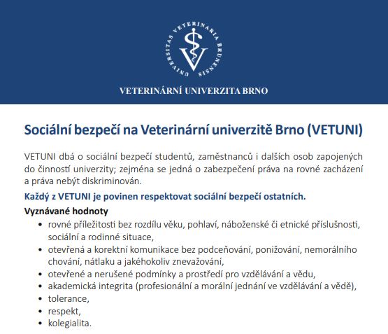 socialni bezpeci